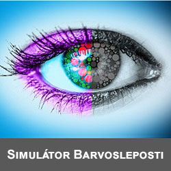 Logo-Simulator